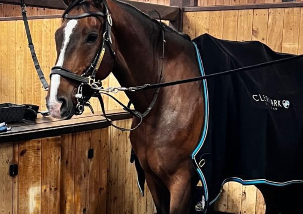 Wellington Championships Horse Shows